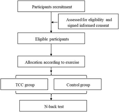 Determining Whether Tai Chi Chuan Is Related to the Updating Function in Older Adults: Differences Between Practitioners and Controls